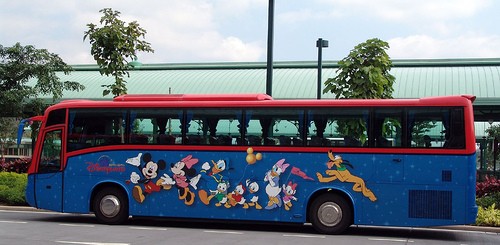 bus